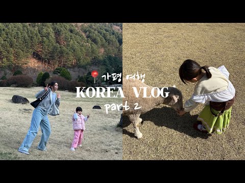 KOREA VLOG: 가평 여행 part 2|| ССОРА С МЕСТНЫМИ ОВЦАМИ