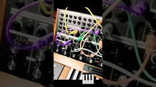 Minimoog Voyager XL 🔥 Another dimension ♥️ #shorts #typebeat #beats