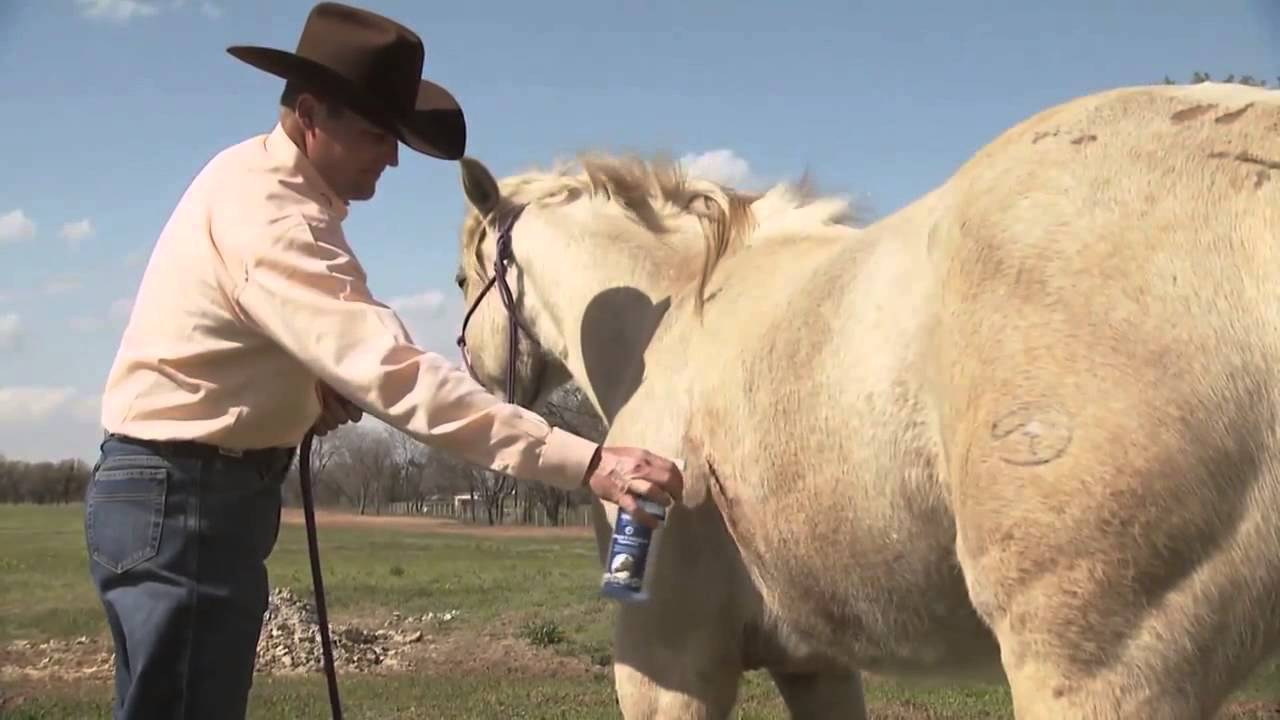 Clinton Anderson Vetericyn