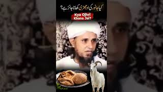 Molana Tariq Masood Bayanat #duet #bayan #latest