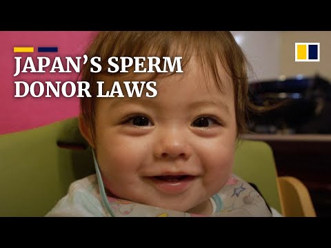 ‘It’s like robbing women’: Japan’s sperm donation law may exclude lesbians and single women