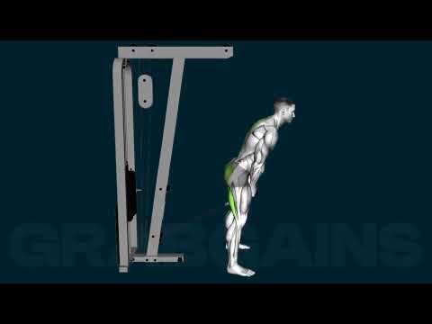 How to do the Cable Pull Through | GrabGains