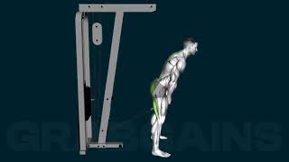 How to do the Cable Pull Through | GrabGains