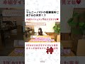 【DIY】ジムニーの天井にまさかの収納!?星光産業株式会社のアイテムで車中泊がもっと快適に🚗 #ジムニー #automobile #carseatcover
