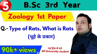 Type of Rats, चूहे के प्रकार, Bsc 3rd year Zoology 1st Paper | Paper Hacker | Bsc Third year