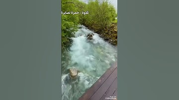 ان للمتقين مفازا.. تلاوة حمزة نصايرة