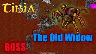 STARA WDOWA - TIBIA - The Old Widow - TASK BOSS - JAK DOJŚĆ NA BOSSA?!