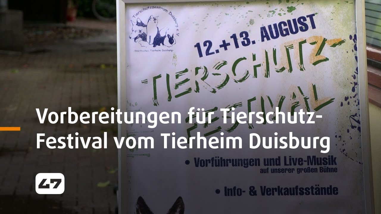 STUDIO 47 .live | VORBEREITUNGEN FÜR GROSSES TIERSCHUTZ-FESTIVAL VOM TIERHEIM DUISBURG