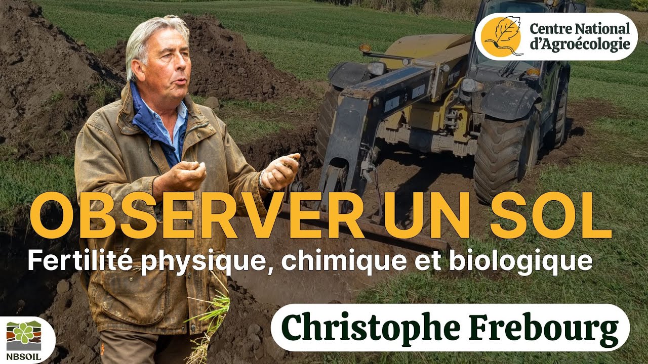 OBSERVER LES TASSEMENTS  DE SOLS AVEC UN PROFIL ! Christophe FREBOURG