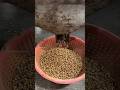 Roasted chana factory me kaise banta hai #rosted #chana #shorts