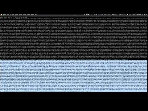 Zscaler - SAML Decode