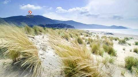 ActCAD IntelliCAD Customization