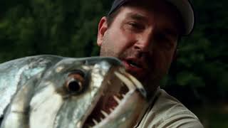 15 River Monsters Caught in the Amazon!
