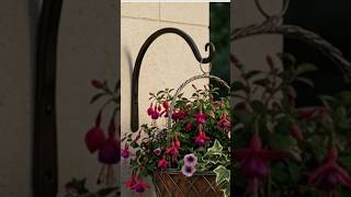 Wall Bracket #gardening #homedecor #viral #wallhooks #wallartideas #hooks #planter