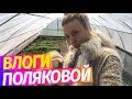 Готовим Равиоли со шпинатом (часть 1). Машка на Рассмеши комика. Влоги Поляковой.