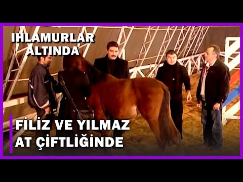 Filiz ve Yılmaz At Çiftliğinde! - Ihlamurlar Altında 10.Bölüm