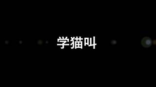 学猫叫 - Pink Feat Wilson Sun | Cover Song 学猫叫 - Pink Feat Wilson Sun | Cover Song