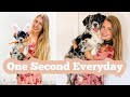 ONE SECOND EVERY DAY | Aussie Retriever Puppy Growing Up | 8 weeks to 8 months