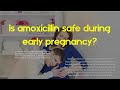 Is Amoxicillin Safe During Early Pregnancy How Much Amoxicillin Is Safe Pregnant Is Amoxicillin Safe During Early Pregnancy How Much Amoxicillin Is Safe Pregnant