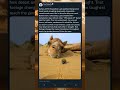 The Camel Who Shared His Secret 🐪✨#AnimalStory #Heartwarming