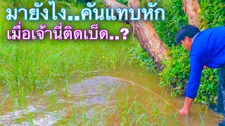 เบ็ดง้าง..เบ็ดขาด..ปลาขาดครึ่ง มากันครบ..คลิปนี้มีสนั่น | วิถีพื้นบ้าน เดลิเวอรี่