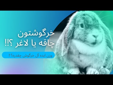 تصویری: کاهش وزن و بافت مزمن در خرگوش ها