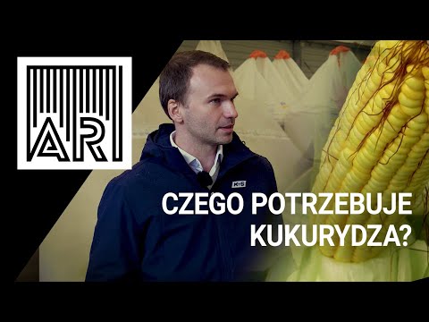 Wideo: Co to jest nawożenie podstawowe?