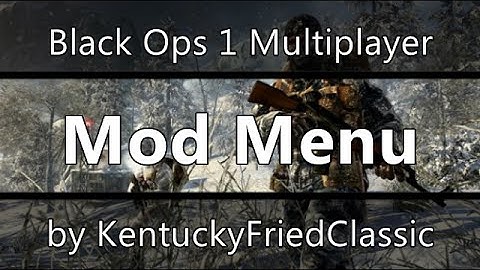 My Custom USB Black Ops 1 Multiplayer Mod Menu!
