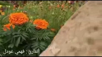 مقام عراقي للقارئ فهمي غودل
