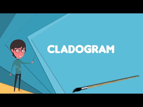 What is Cladogram? Explain Cladogram, Define Cladogram, Meaning of Cladogram