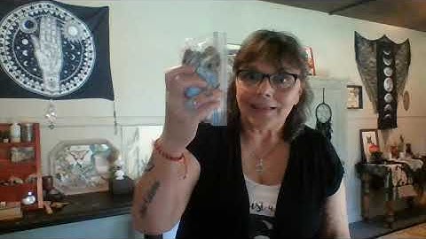 Mud Dauber Nest Magick!