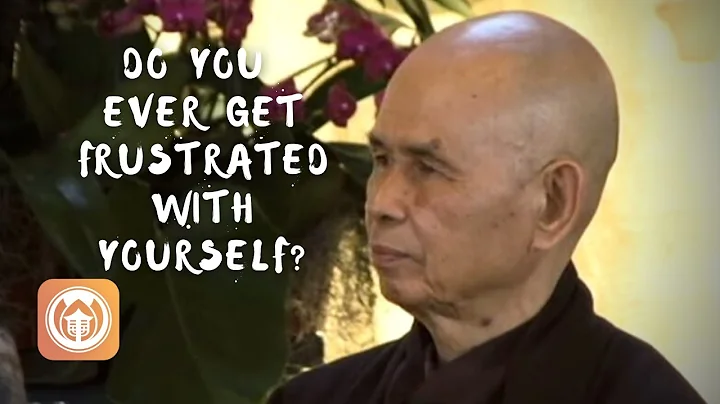 Do you ever get frustrated with yourself? | Thich Nhat Hanh answers questions - DayDayNews