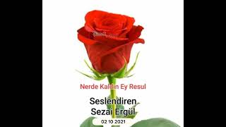 Nerde Kaldın Ey Rasül / Sezai Ergül