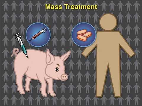 Video: Aivojen, Silmien Cysticercosis: Oireet Ja Tehokas Hoito