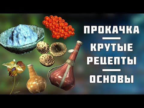 ★Skyrim БЫСТРАЯ прокачка Алхимии! Основы и дорогие рецепты!★