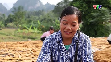 HỘI LHPN HUYỆN LÂM BÌNH THI ĐUA XÂY DỰNG NÔNG THÔN MỚI (30-11-2024)