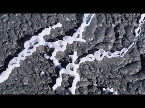 البركان الوحيد في العالم نشط ويتدفق حمم من كربوناتيت بدلا عن حمم بازلتيه