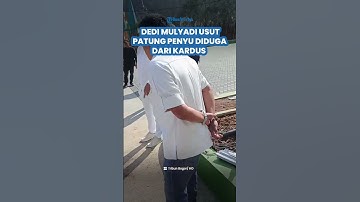 USUT TUNTAS! Dedi Mulyadi Tindak Tegas Kasus Patung Penyu Rp15 Miliar Diduga dari Kardus di Sukabumi