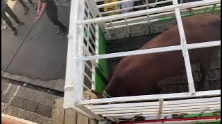 Bef 2021 lakaz rouge(sovaz)