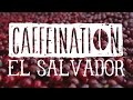 CAFFEINATION El Salvador