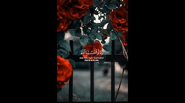 تلاوة تذكّرك بعظمة الله 💫 صوت خالد الجليل#قرآن_كريم #خالد_الجليل #تلاوة_خاشعة #آيات_عظيمة