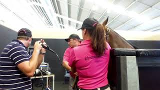 10. Scoping