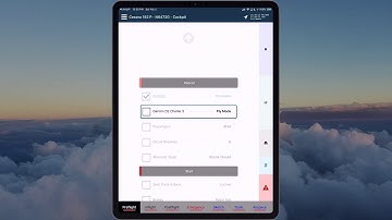 MiraCheck - Fly Like the Pros! - New Checkbox Items Layout