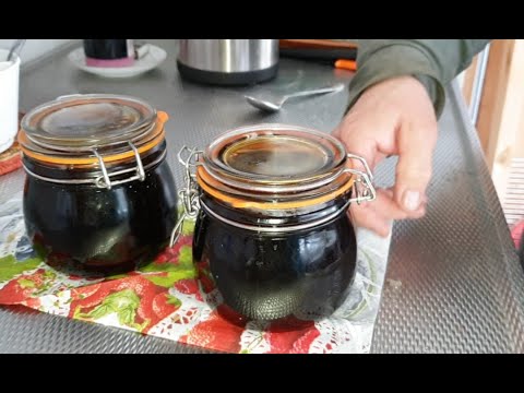 Making Birch Sap Syrup  //  Koivun mahla siirapin teko