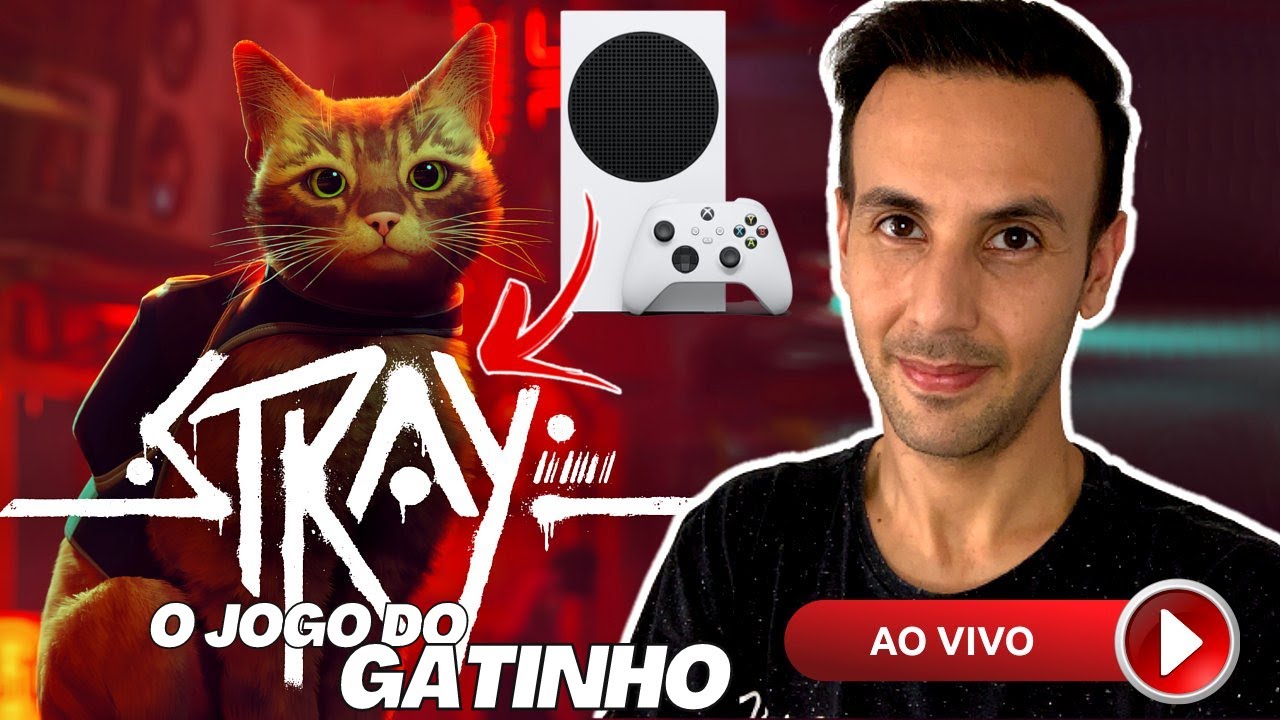 Stray I Jogo do Gatinho AO VIVO no Xbox Series S 
