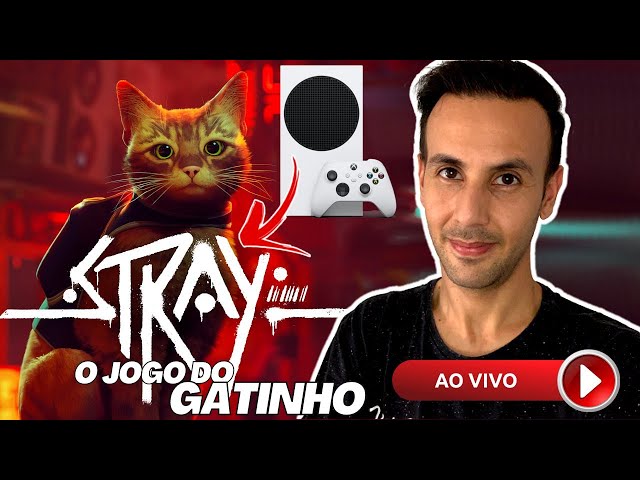 Stray I Jogo do Gatinho AO VIVO no Xbox Series S 