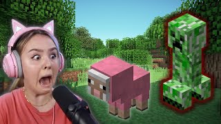 playing minecraft :)