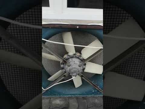 Video: Pjevač MakSim potpuno je isključen iz ventilatora