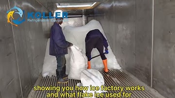 Koller flake ice machine project case in Africa