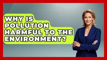 Why Is Pollution Harmful to the Environment? | Explaining Ecology News